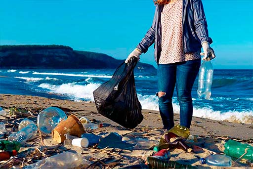 Descripción de la imagen